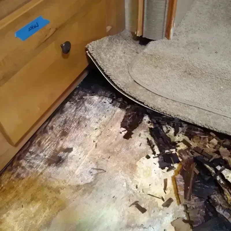 Wood Floor Water Damage in Walnut Ridge, AR